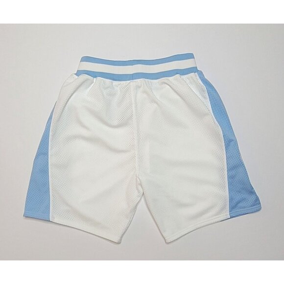 Mitchell & Ness UNC North Carolina Tar Heels 1983-84 Shorts - Picture 3 of 5